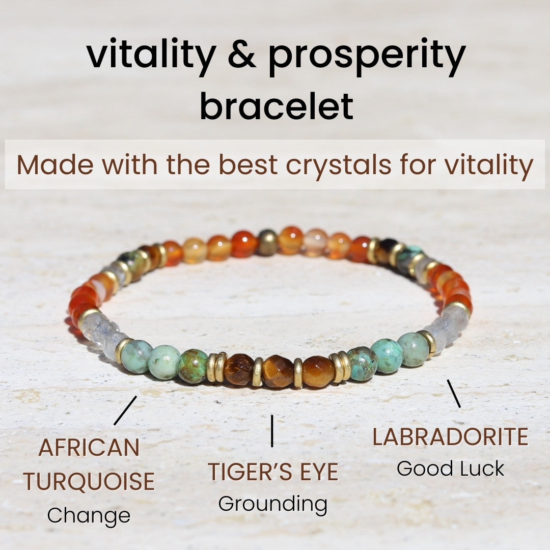"Vitality and Prosperity" Carnelian and African Turquoise Bracelet